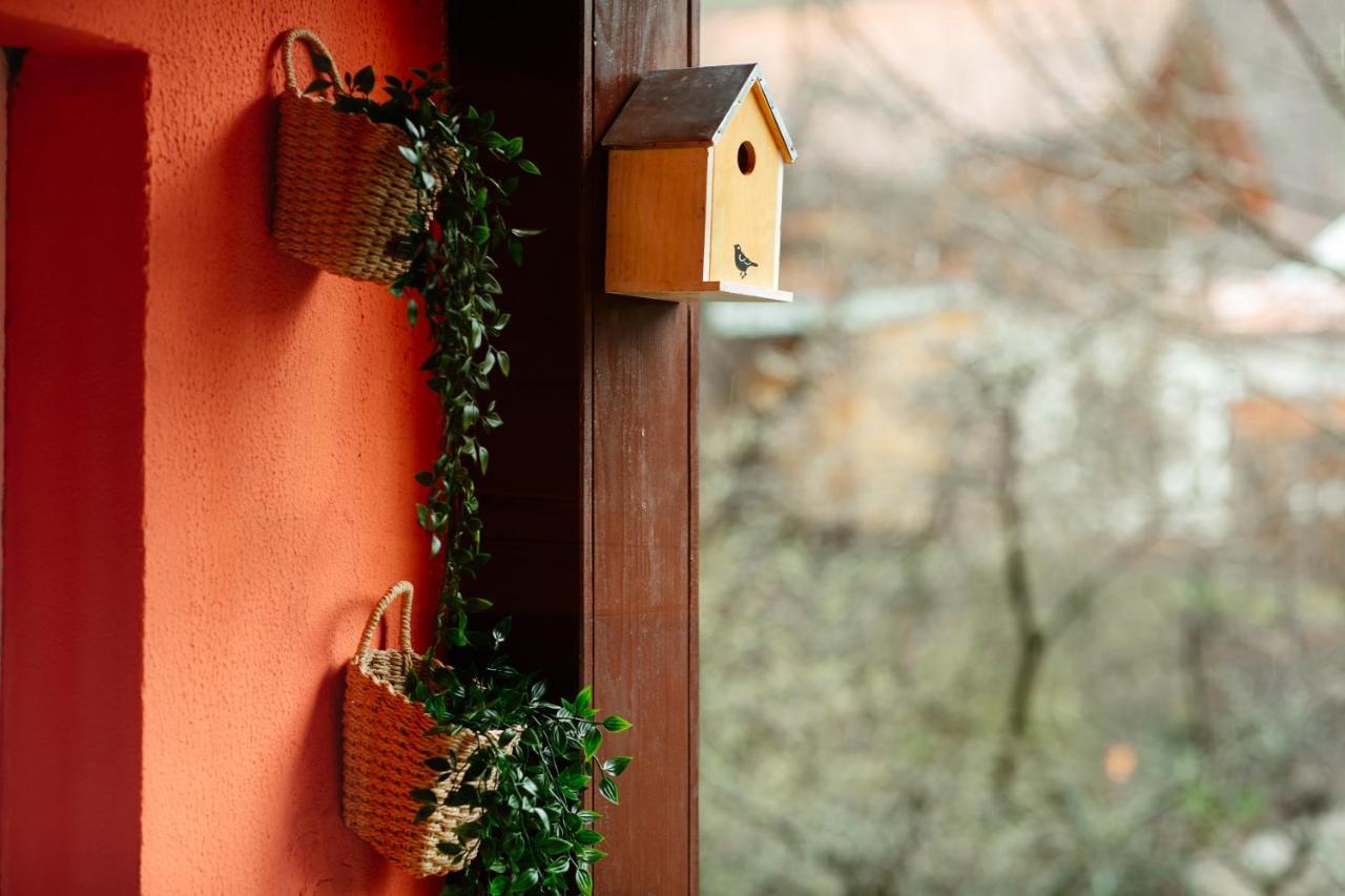 Home & Garden With Stunning View Sinaia Exteriör bild